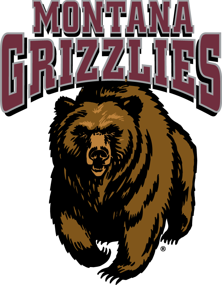 Montana Grizzlies 1996-Pres Primary Logo iron on transfers for clothing